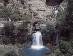 AFQA